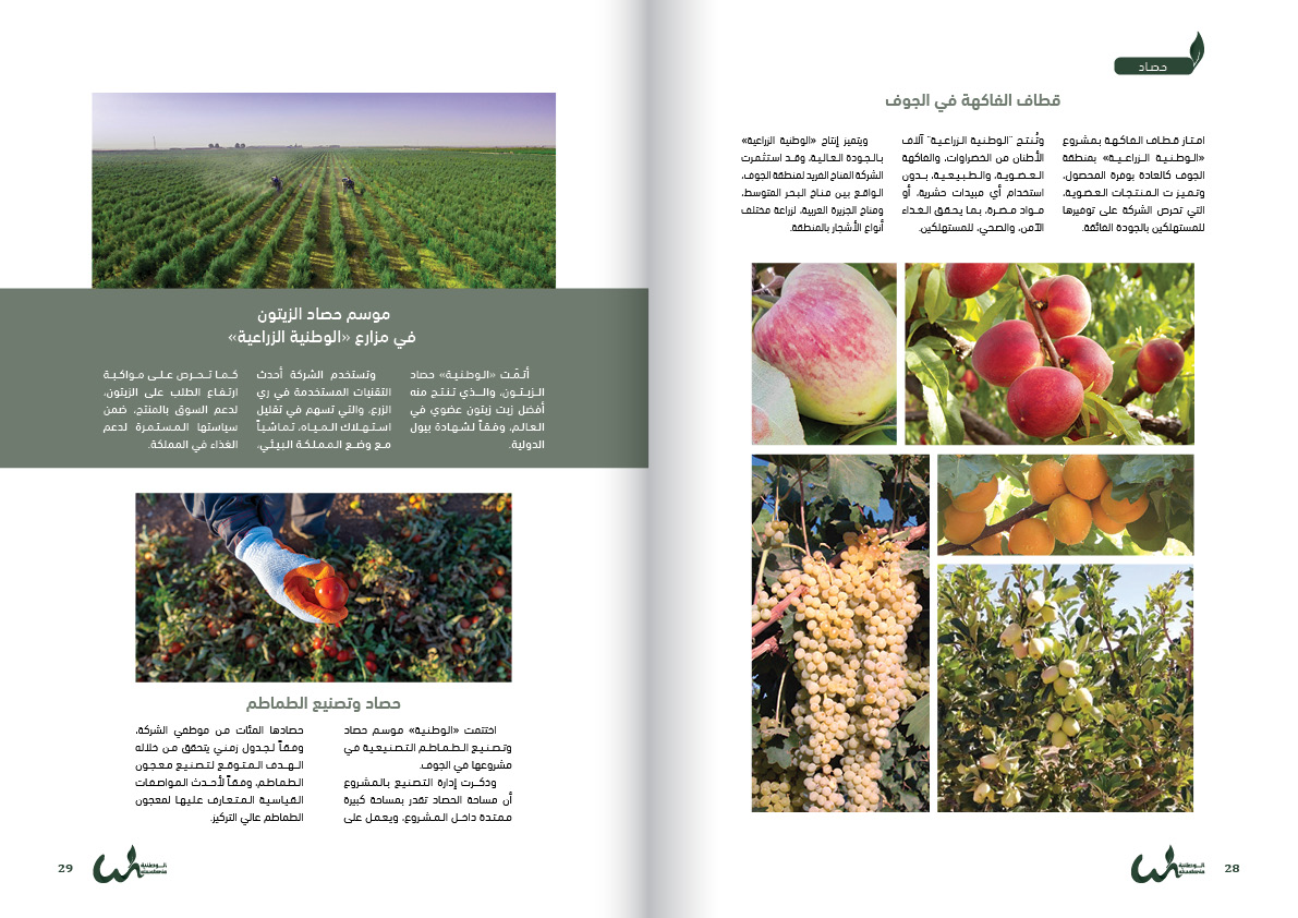 pages15